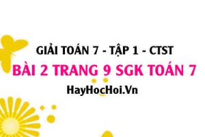 Giải bài 2 trang 9 Toán 7 Tập 1 SGK Chân trời sáng tạo